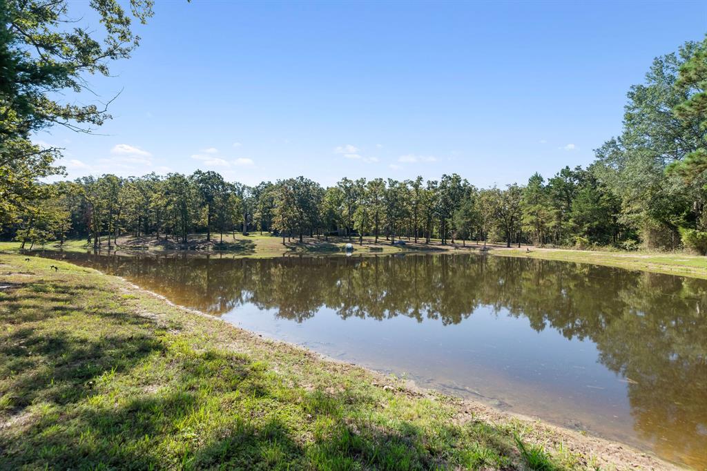 A100066 - A0066 G BASS - Farm