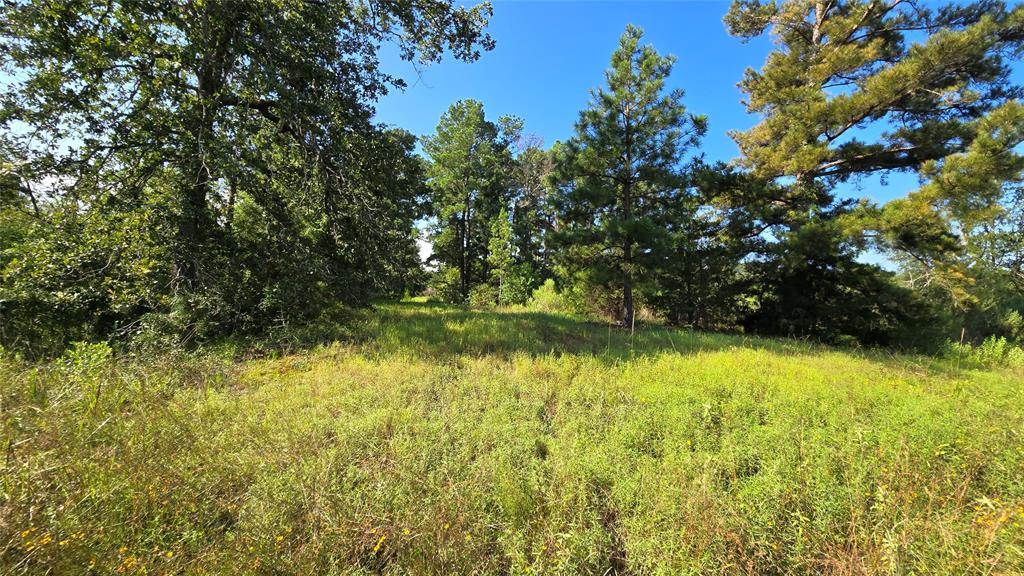 333 County Road 3092