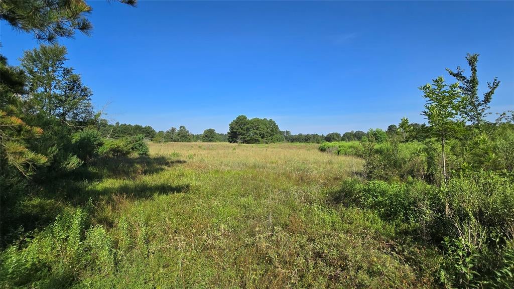 333 County Road 3092