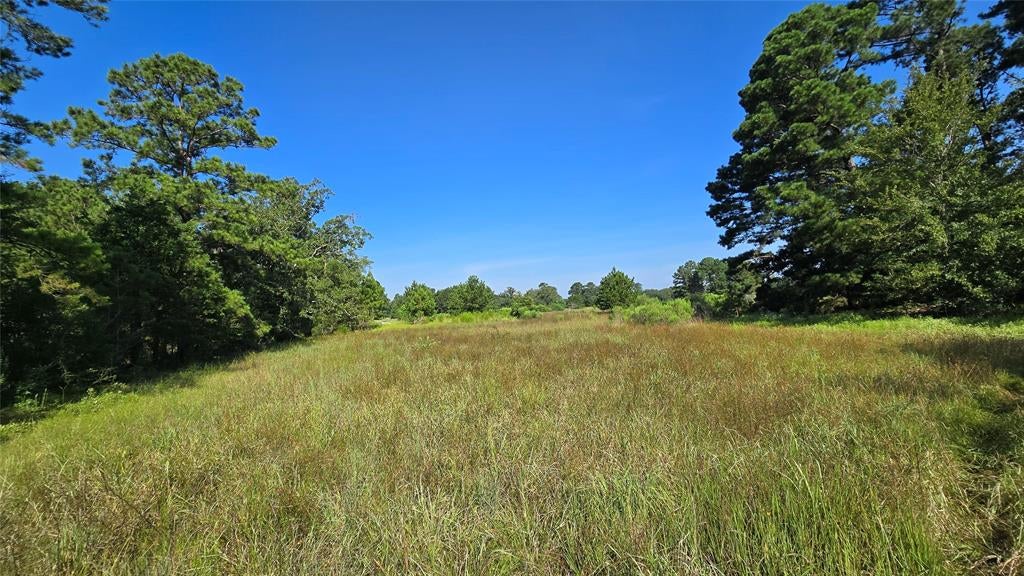 333 County Road 3092