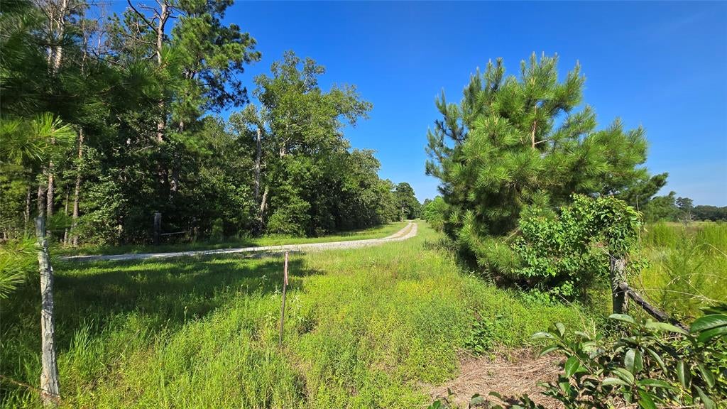 333 County Road 3092