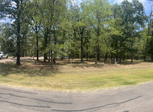 Photo 1 of 14 — 146 St Andrews Drive, Mabank, TX 75156