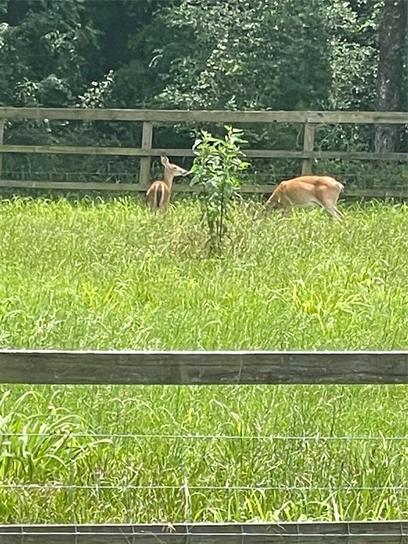 Plettenberg Bay - Residential