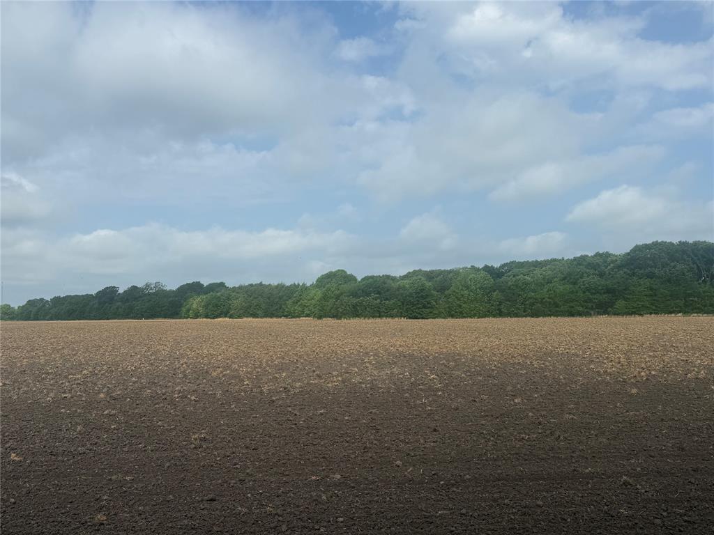 002 County Road 4205