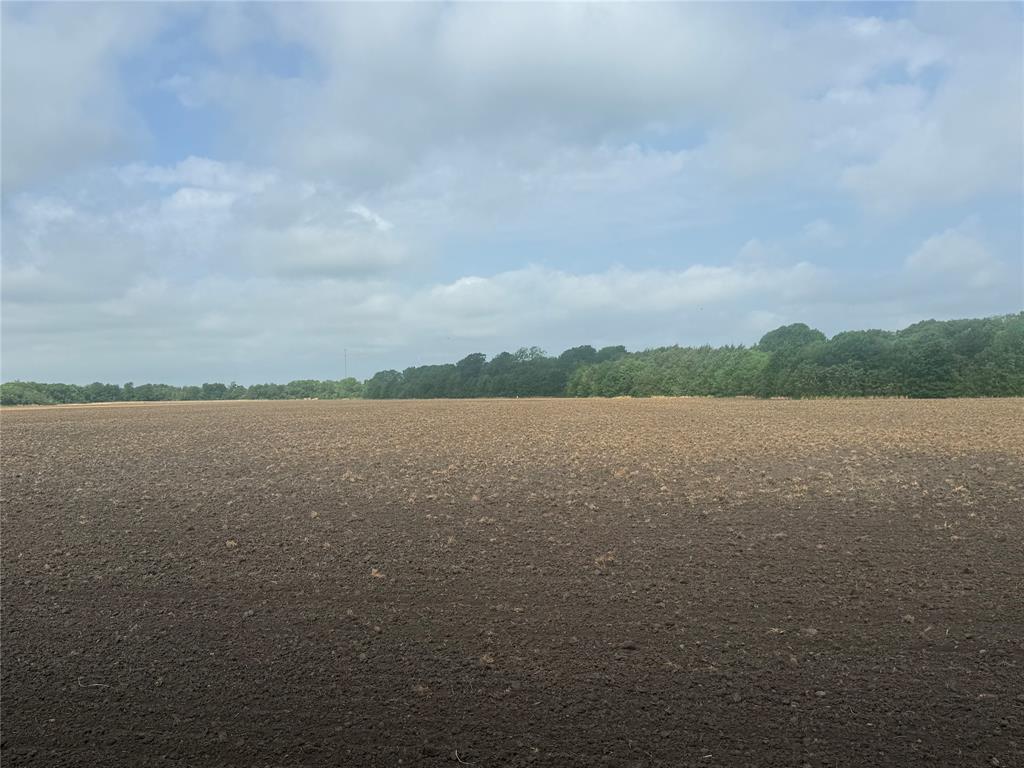 002 County Road 4205