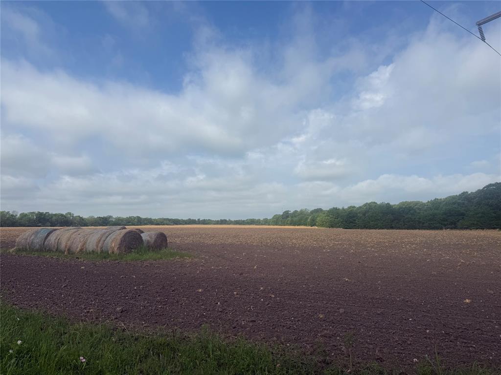 002 County Road 4205