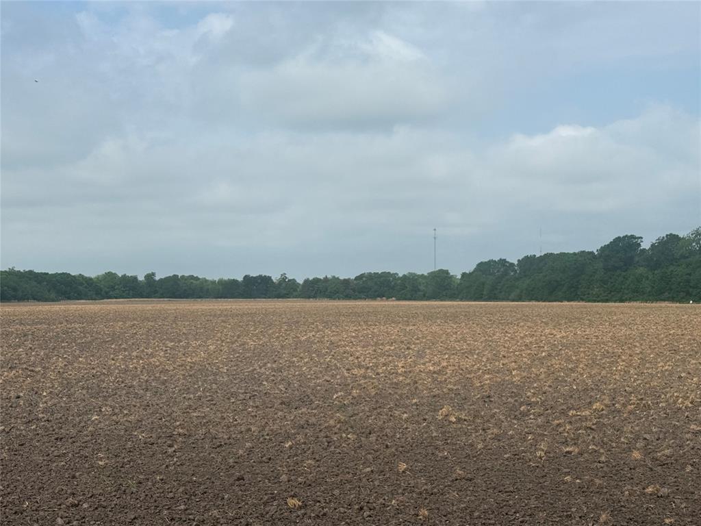 002 County Road 4205