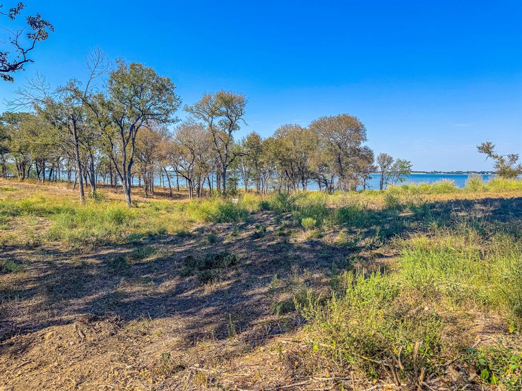 Carmel Valley Estates - Land