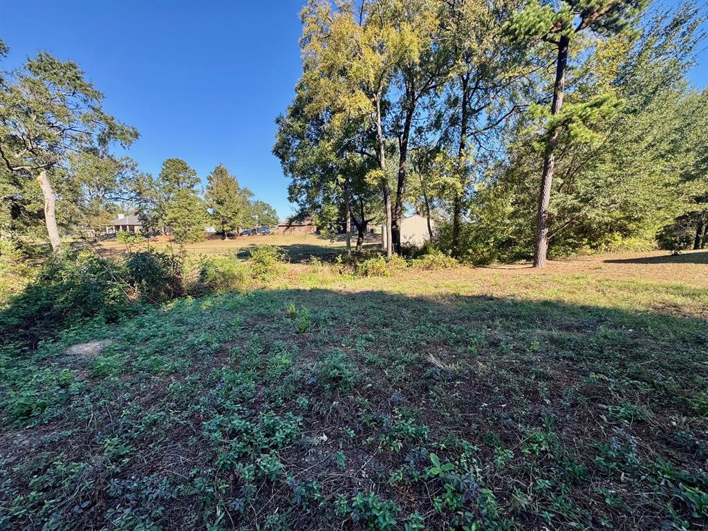 Dogwood Trails West - Land