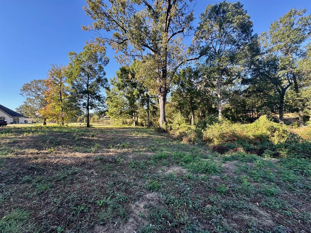 Dogwood Trails West - Land