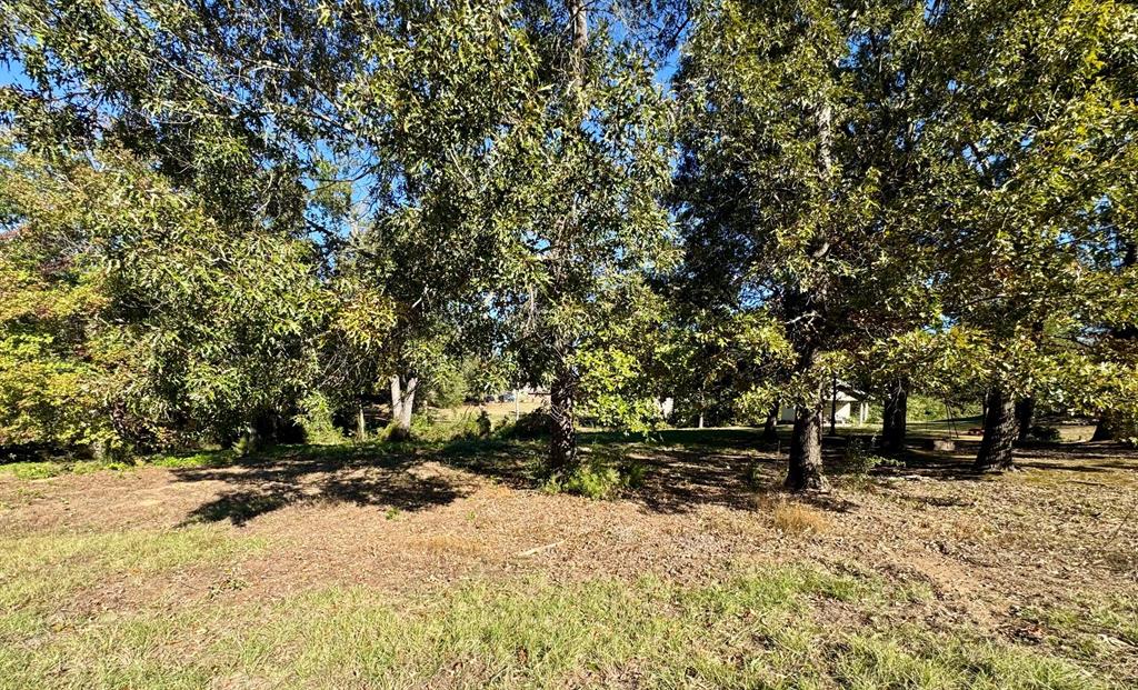 Dogwood Trails West - Land