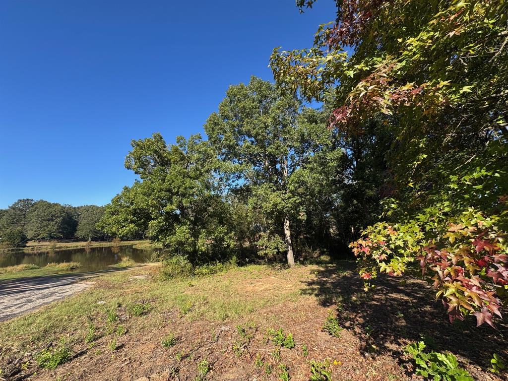 Dogwood Trails West - Land