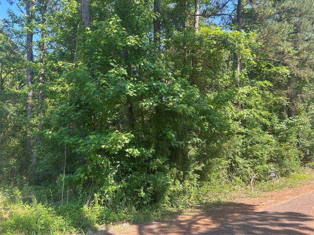 1210 SAN SABA