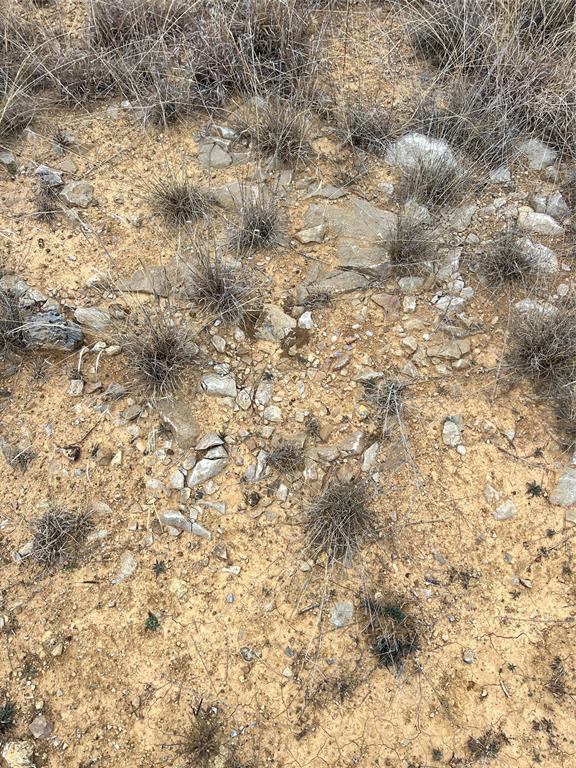 Kings Point Cove - Land