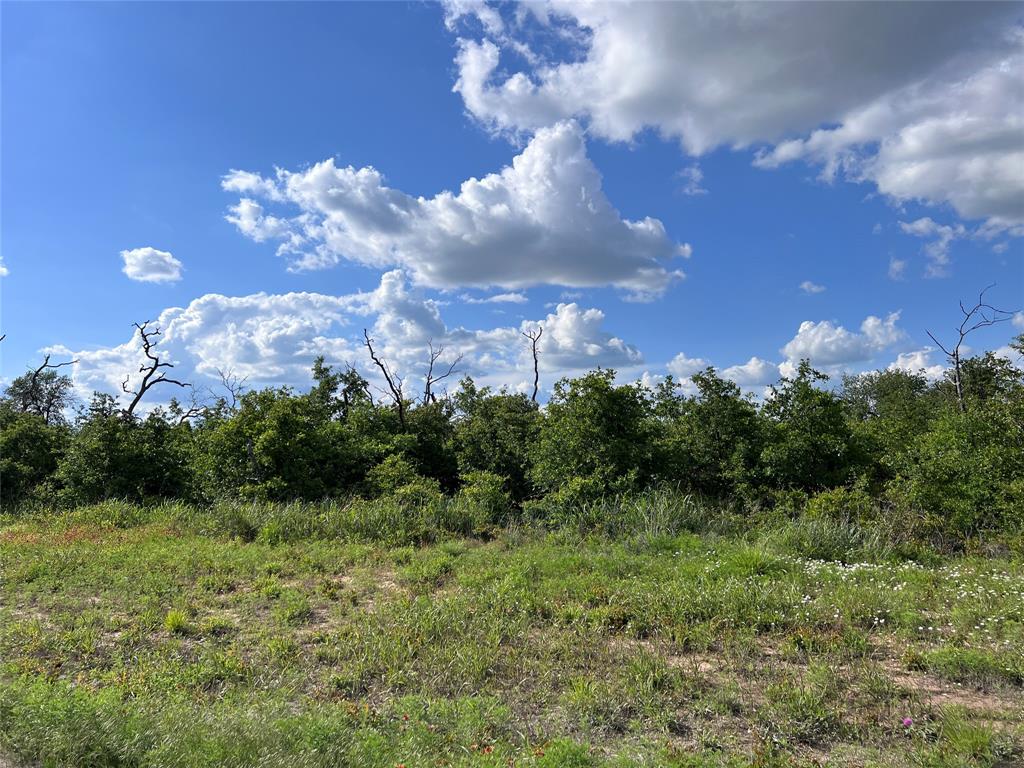 TBD Lot 25 Live Oak Trail
