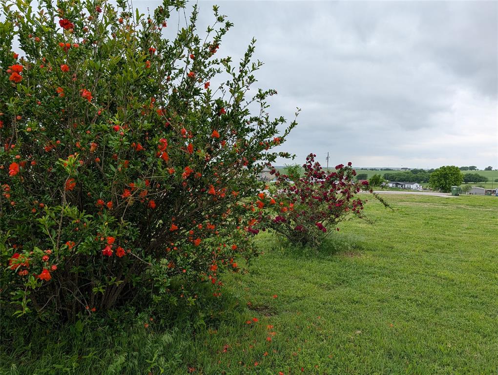 Prairie View Estates Ph2 - Residential