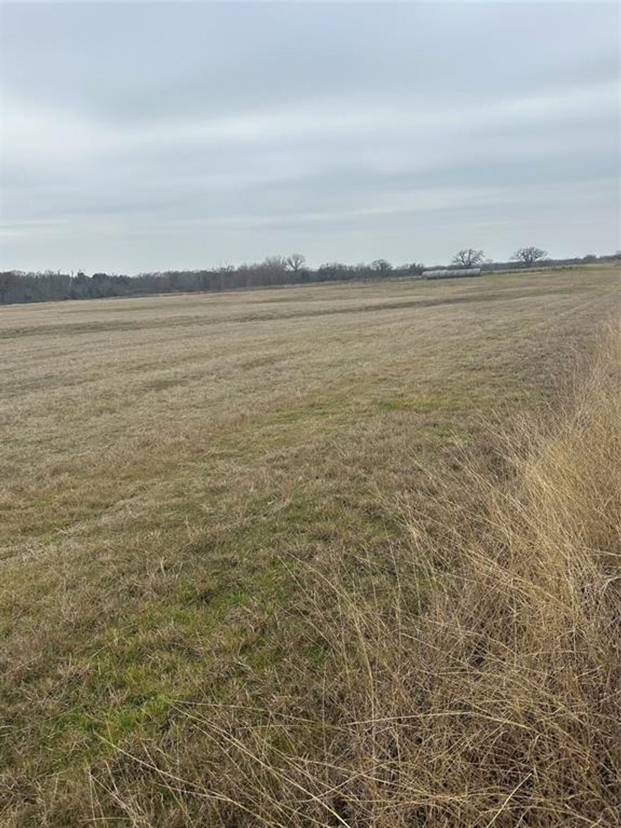 THIS 40 ACRES HAS ENDLESS POSSIBILITIES! THE PROPERTY IS LOCATED JUST 4 MILES FROM HWY 287, BUT OUT OF THE CITY LIMITS. AG-EXEMPT, 2 TANKS, OPEN PASTURE WITH SOME TREES, PERFECT PLACE TO BUILD A NEW HOME OR FOR DEVELOPING.
