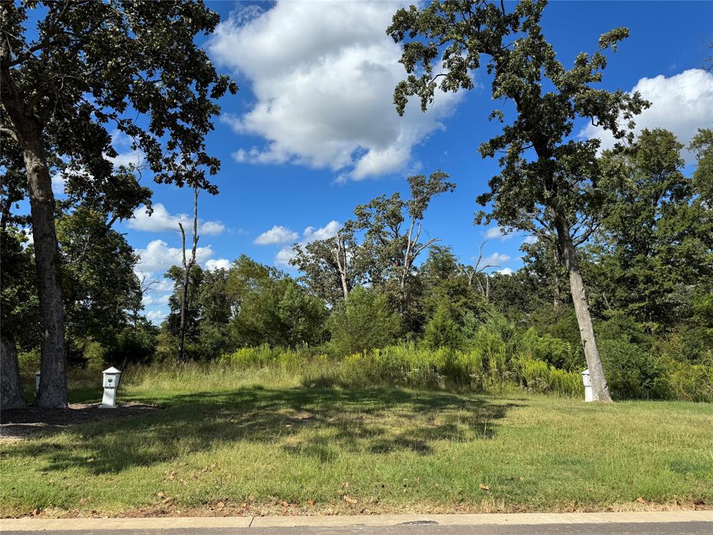 Twin Lakes Resort - Land