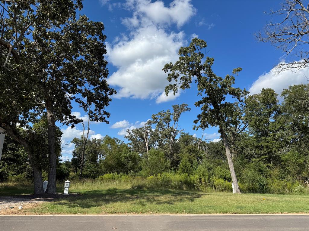 Twin Lakes Resort - Land