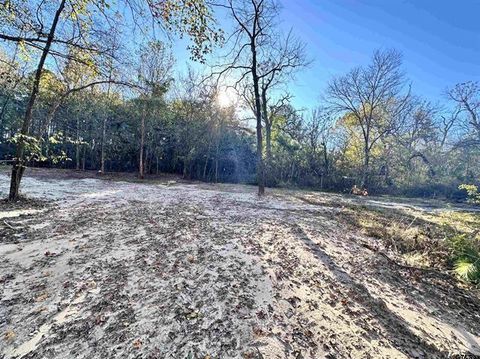 Photo of 0 CR 4302, Larue, TX 75770 (MLS # 21244886)