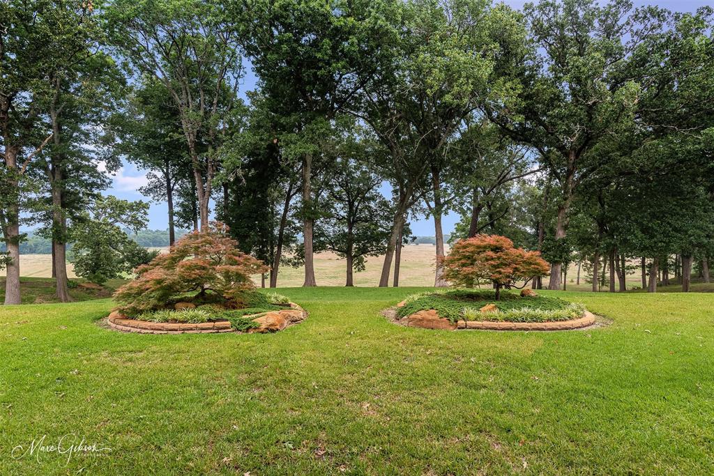 Single Family - Residential