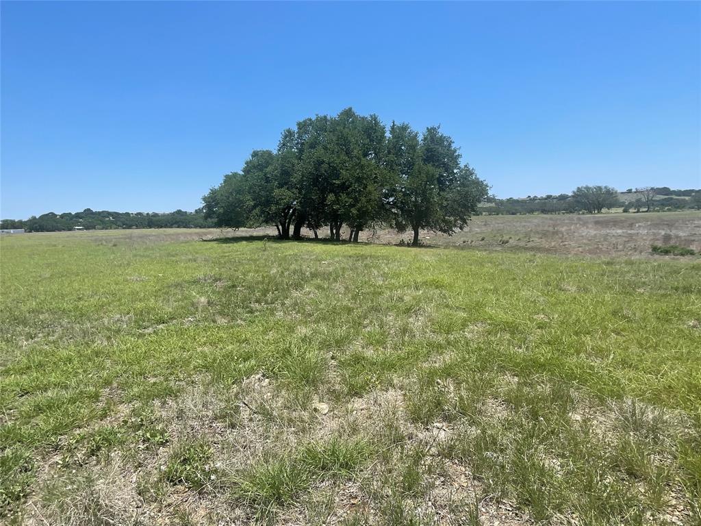TBD County Road 338