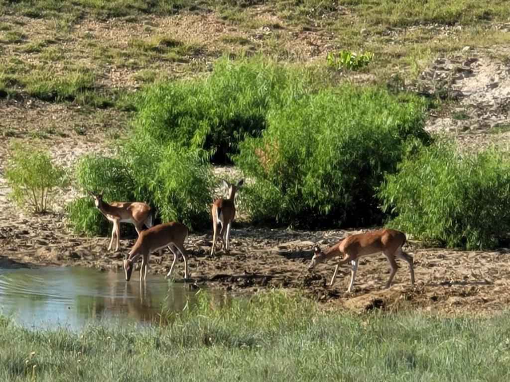 CADDELL - Residential