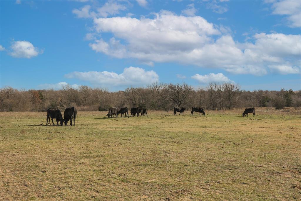 CADDELL - Residential