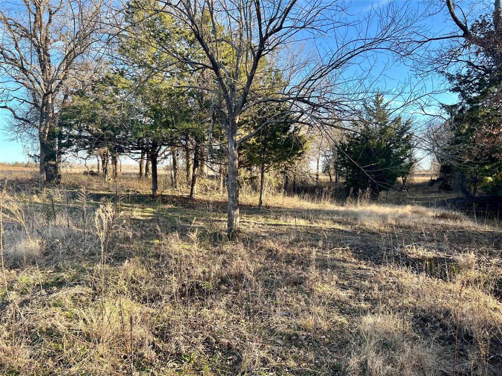 The Ranches of Blackjack Meadows - Land