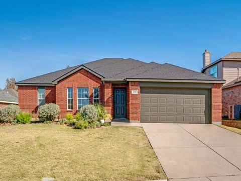 316 Tarpan Trail Celina TX 75009