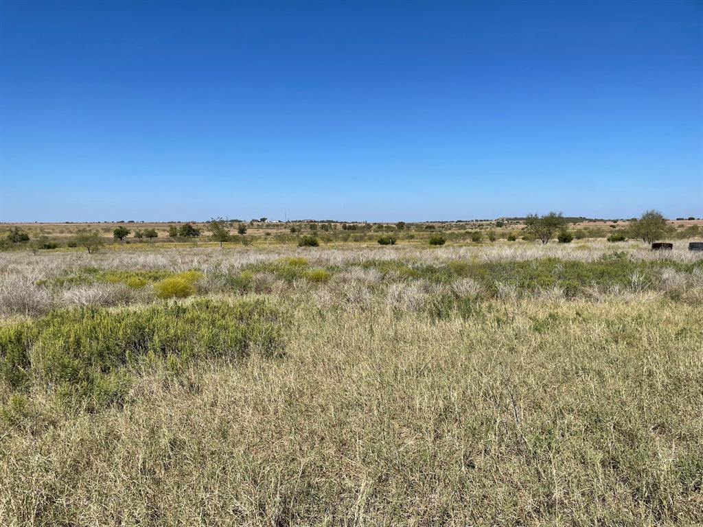 310 County Road 621