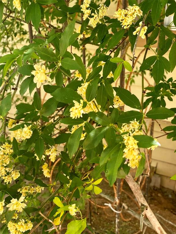 JP Simpson - Residential