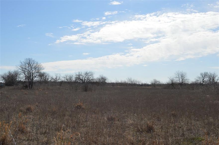 Perfect opportunity for a great spot to escape the hustle and bustle.  12.383 acres to build your dream haven and call it home!  Water available at road, electric installed nearby for home site.  Just needs septic system and a plan for your home!  Come walk through the trees and imagine yourself getting to call this place of peace and solitude your very own!