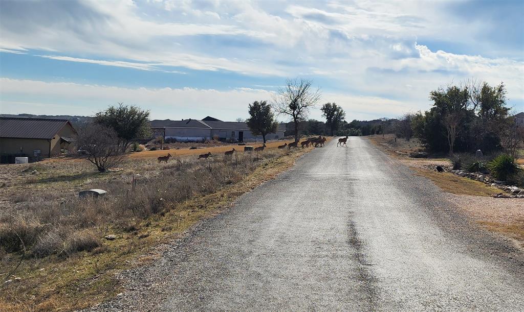 Reserve at Gaines Bend Ph 1 - Land