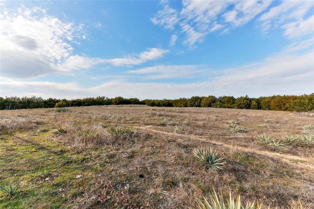 T&P Rr Co Surv Sec 183 abs - Farm