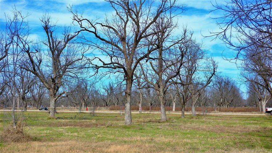 Welcome to your fly-in, fly-out opportunity in The Landings East at Pecan Plantation—Granbury’s premier airpark community. This 1± acre lot is located in the newest phase of the development and features beautiful, orderly rows of mature pecan trees. The property offers concrete street frontage along with a concrete taxiway directly behind the lot, ideal for aviation enthusiasts.

Landings East is a gated airpark featuring a lighted and paved 3,100’ x 50’ runway, self-serve fuel station, and convenient taxi access—this lot is approximately 2,200 feet from both the runway and fuel facilities. Ownership also includes full access to the renowned Pecan Plantation amenities, including two championship golf courses, marina access on Lake Granbury, swimming pools, tennis courts, dog parks, RV campground, equestrian facilities, Brazos River parks, scenic nature trails, on-site dining, and more.

The adjacent lot is also available for purchase, offering a rare opportunity to combine both parcels for approximately 2 acres within this highly sought-after aviation community. Whether building a custom hangar home or securing a long-term investment, this property delivers an exceptional blend of aviation convenience and resort-style living.