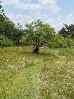 C L REEDY ABST 1265 PG 560 TR 6 ACS 13.1822 FOR HS - Commercial Sale