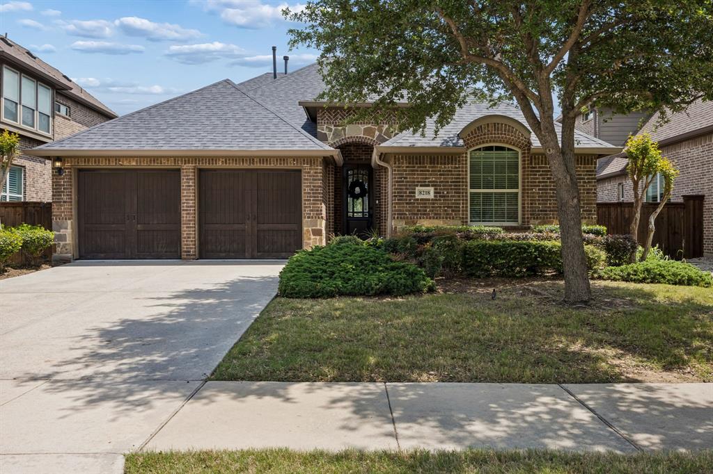 8218 Haltered Horse Lane