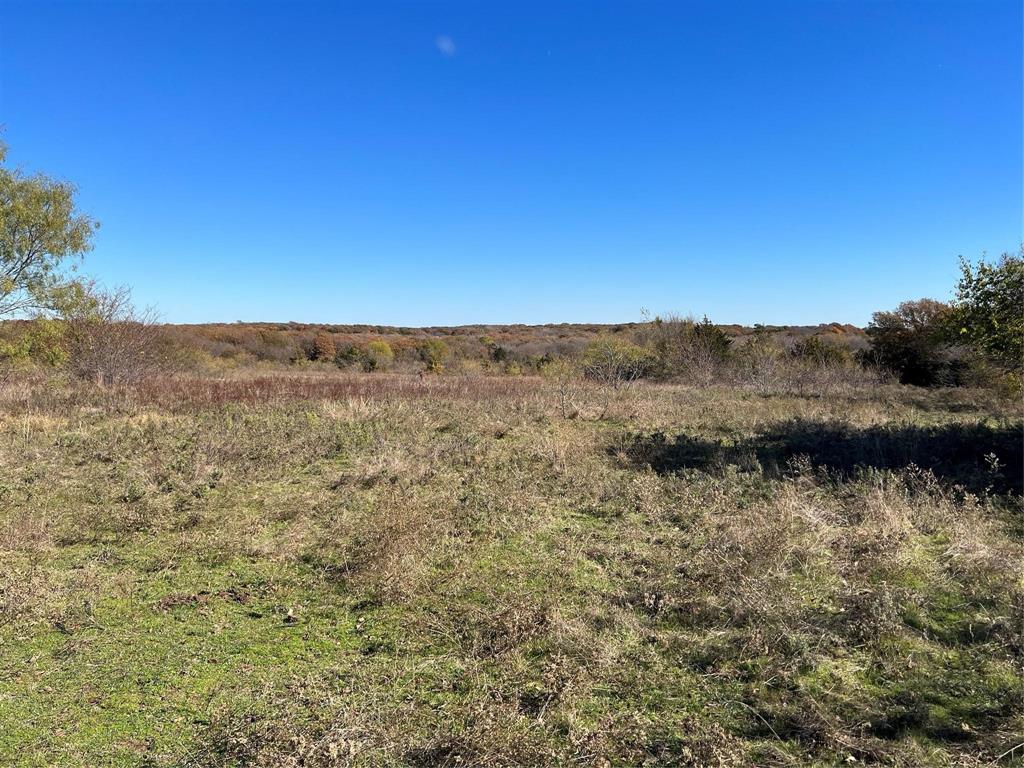 Lindheimer Fj - Land