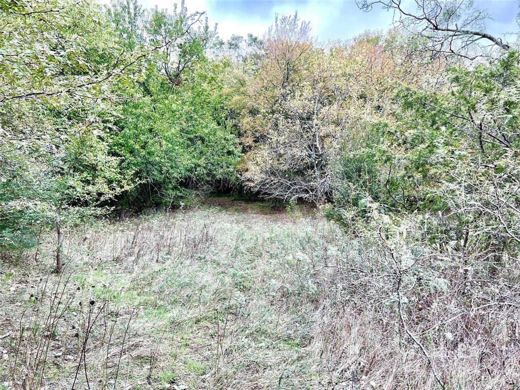 Lindheimer Fj - Land