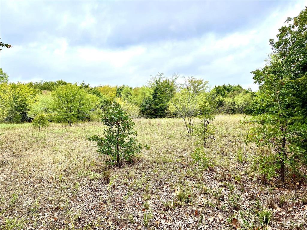 Lindheimer Fj - Land