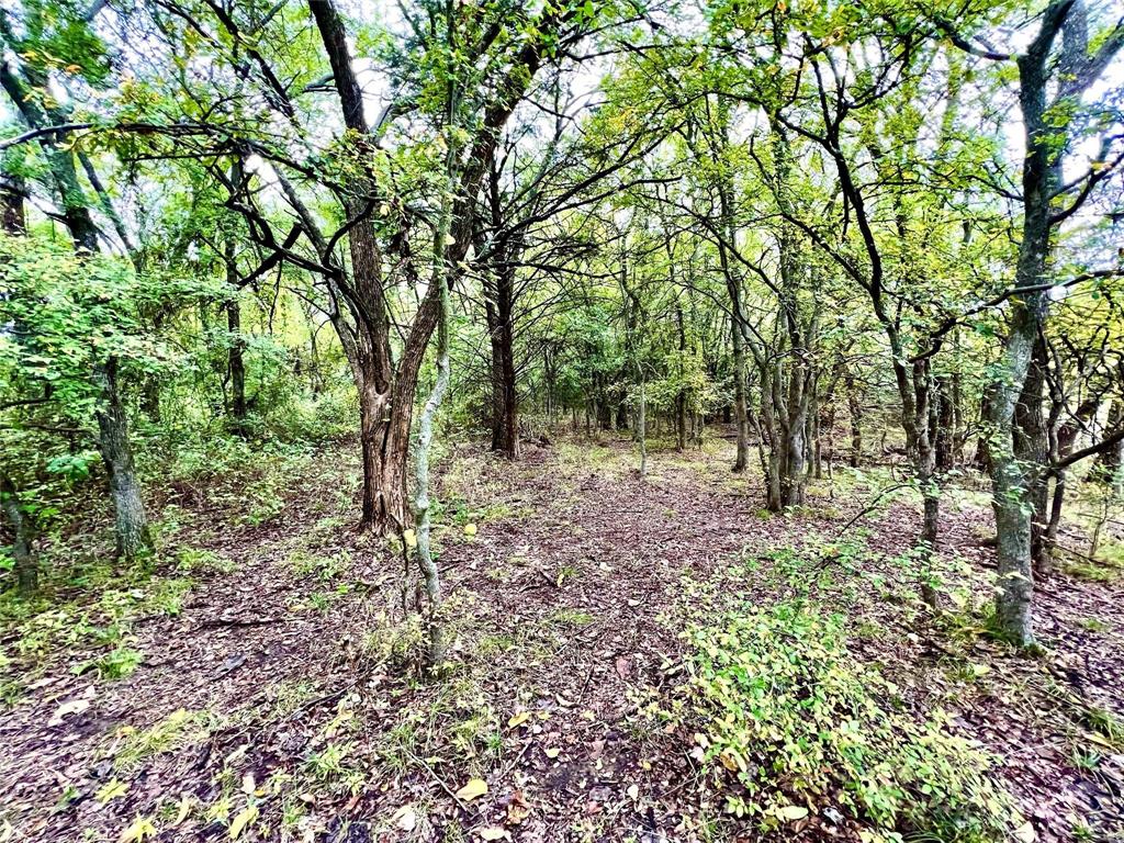 Lindheimer Fj - Land