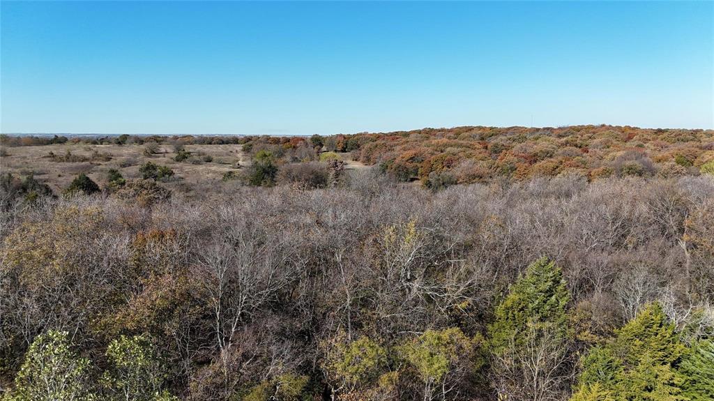 Lindheimer Fj - Land