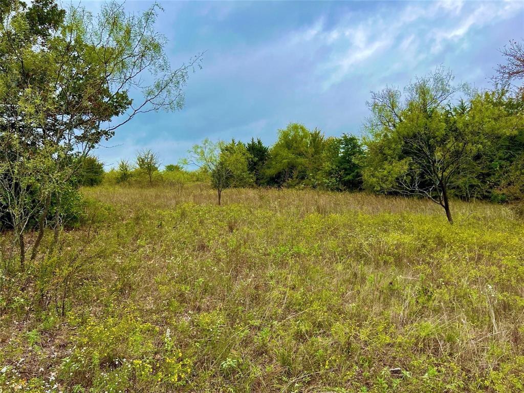 Lindheimer Fj - Land