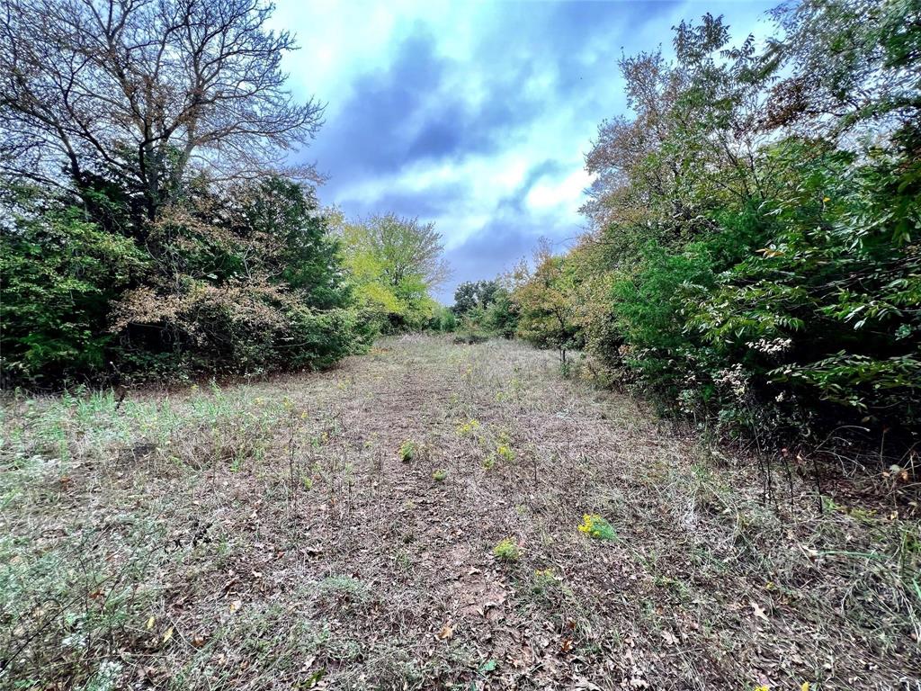 Lindheimer Fj - Land