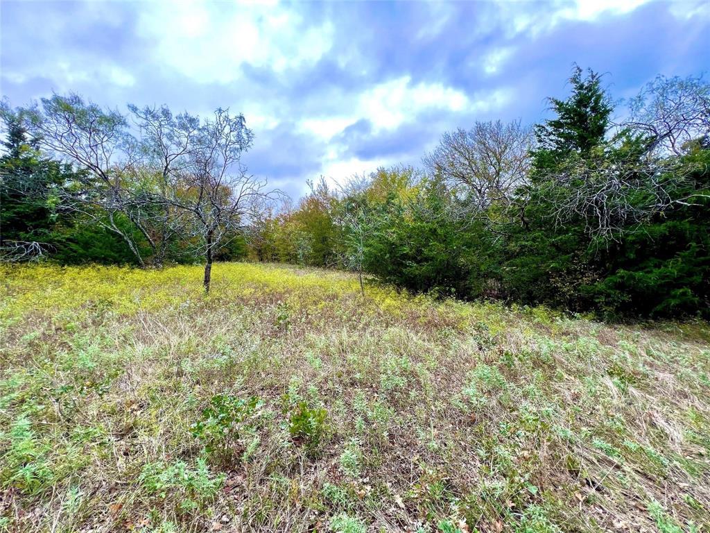 Lindheimer Fj - Land