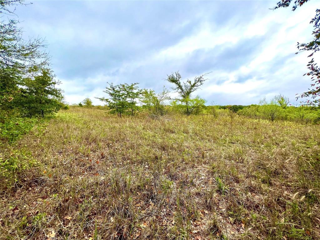 Lindheimer Fj - Land