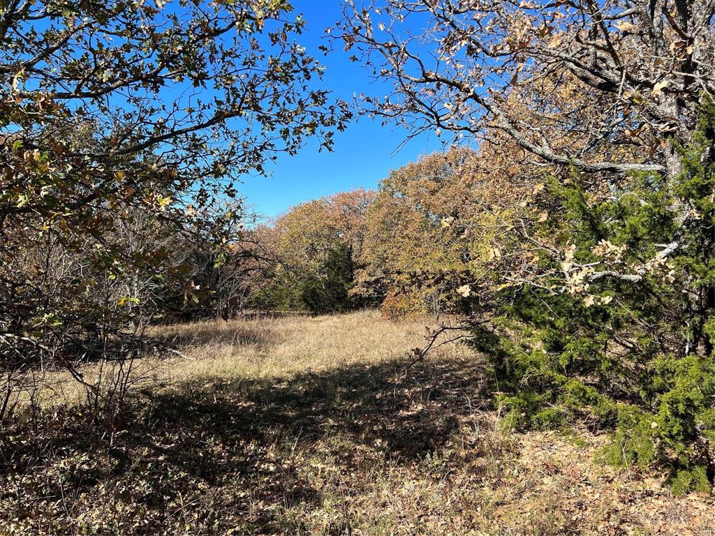 Lindheimer Fj - Land