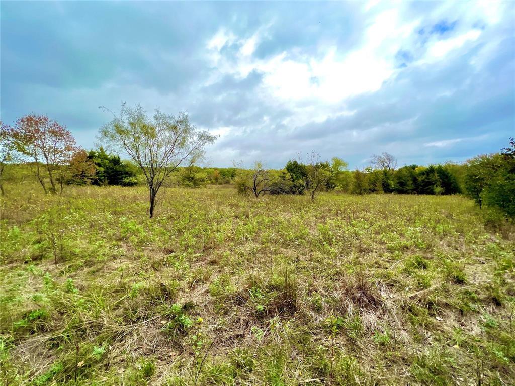 Lindheimer Fj - Land