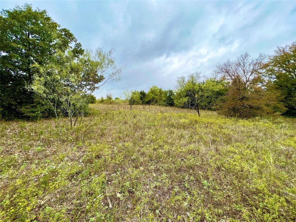 Lindheimer Fj - Land